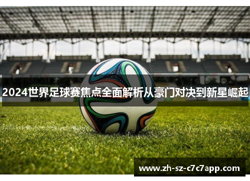 2024世界足球赛焦点全面解析从豪门对决到新星崛起