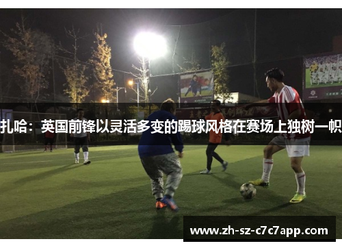 扎哈：英国前锋以灵活多变的踢球风格在赛场上独树一帜