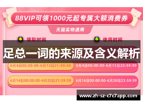 足总一词的来源及含义解析 足总一词的来源及含义解析