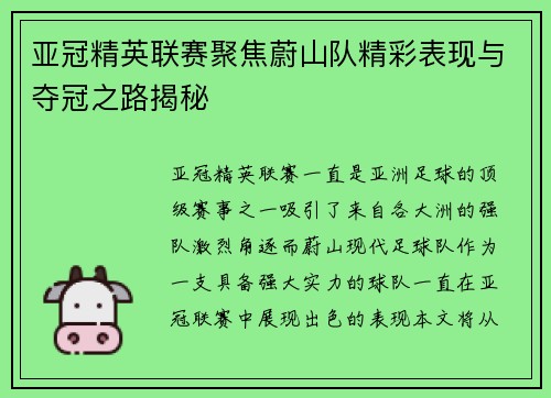 亚冠精英联赛聚焦蔚山队精彩表现与夺冠之路揭秘