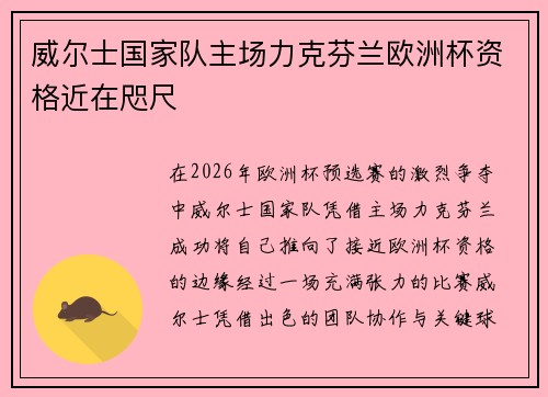 威尔士国家队主场力克芬兰欧洲杯资格近在咫尺