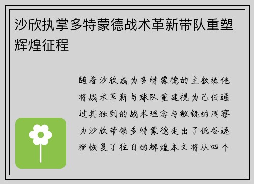 沙欣执掌多特蒙德战术革新带队重塑辉煌征程 沙欣执掌多特蒙德战术革新带队重塑辉煌征程